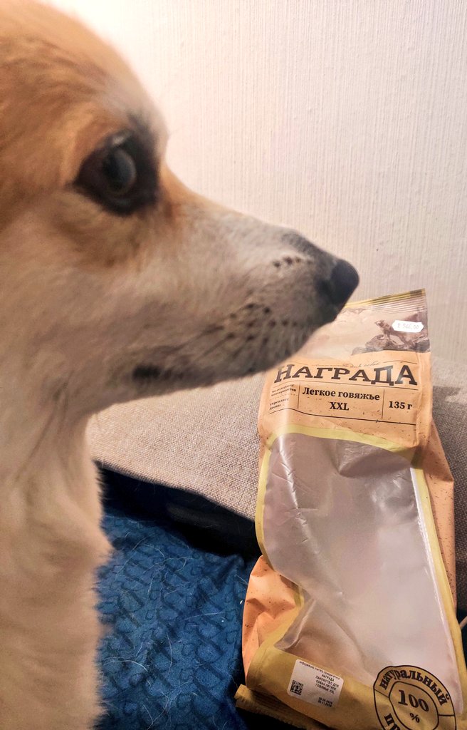 Andrey Sobolev tweet media