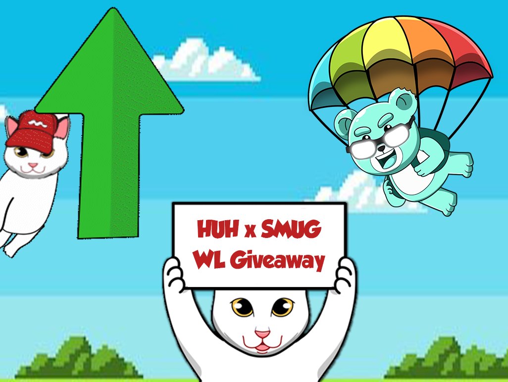 Huh The Viral Cat tweet media