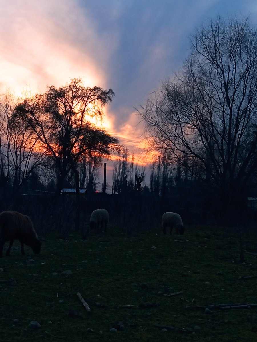 Manungo6's tweet image. Sigue siendo niño y paz dormirás, sin guerras ni máquinas de calcular.
Facundo Cabral.
Buena tarde!!