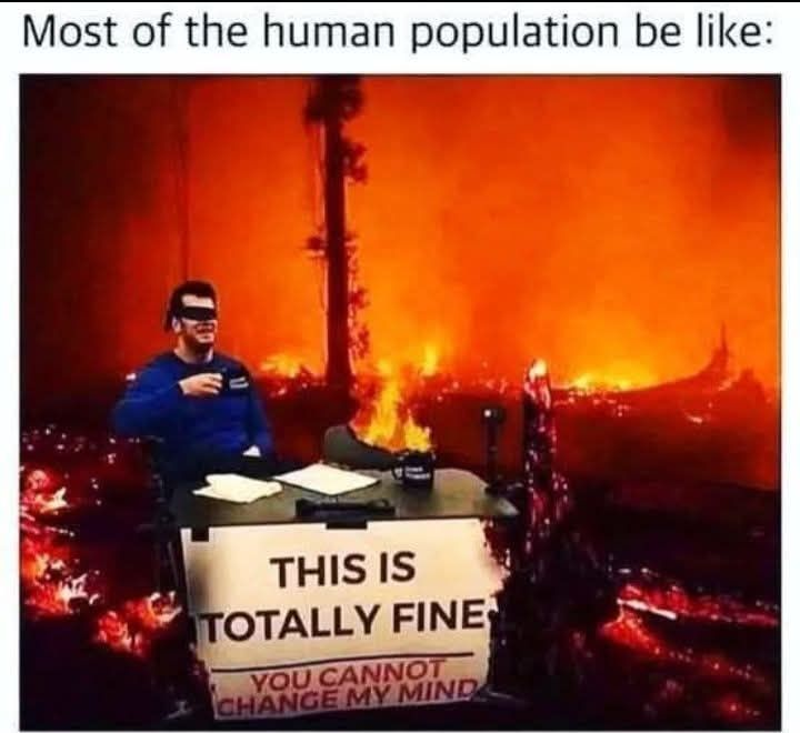 Trish (plesident erect) (@jappyheadedho) on Twitter photo 