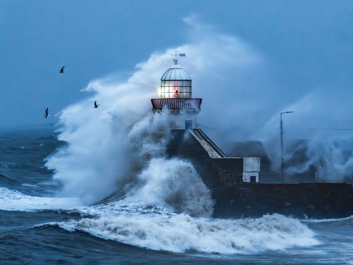 sryanbruenphoto's tweet image. This is every image of mine that has won a photo competition so far.
I think my Balbriggan one is way superior to the others. I wouldn't even consider the first one a "good" photo though the moment is special to me. That was from Dec 2019, 4 months after I got my first DSLR..