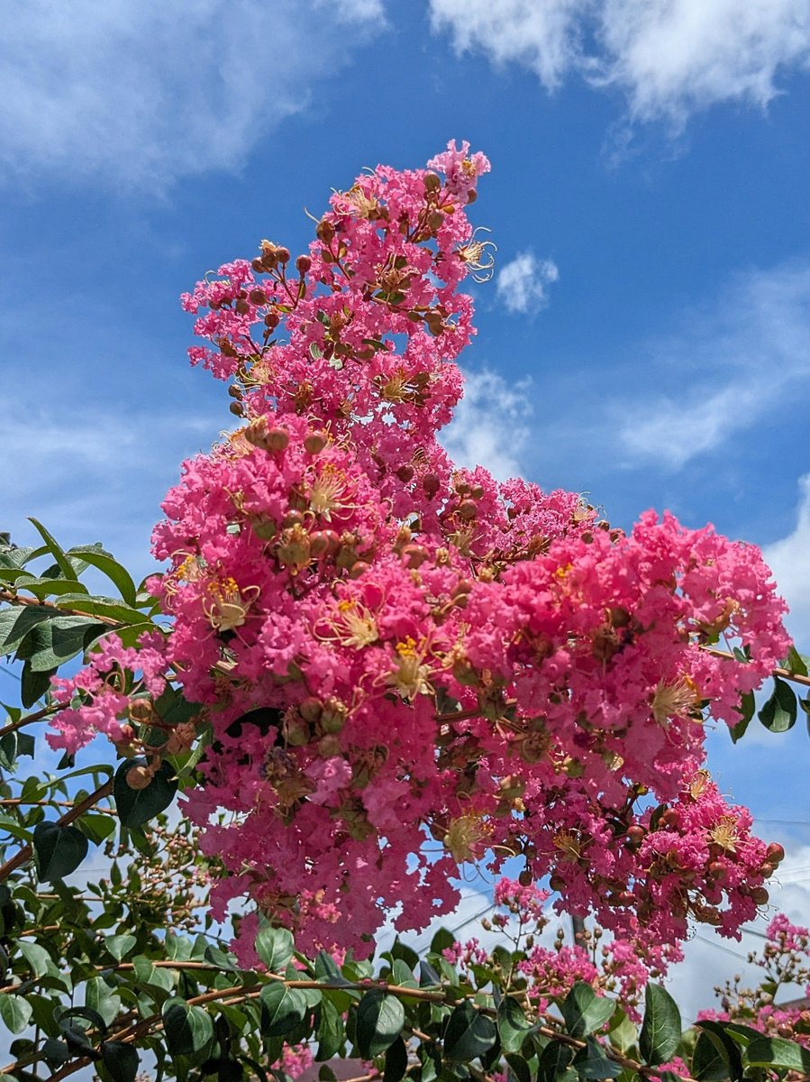 しっかり栄養とってよく寝て
夏バテ予防していきます🐥🍉

🌈🕊️✨Peace✨🌈🕊