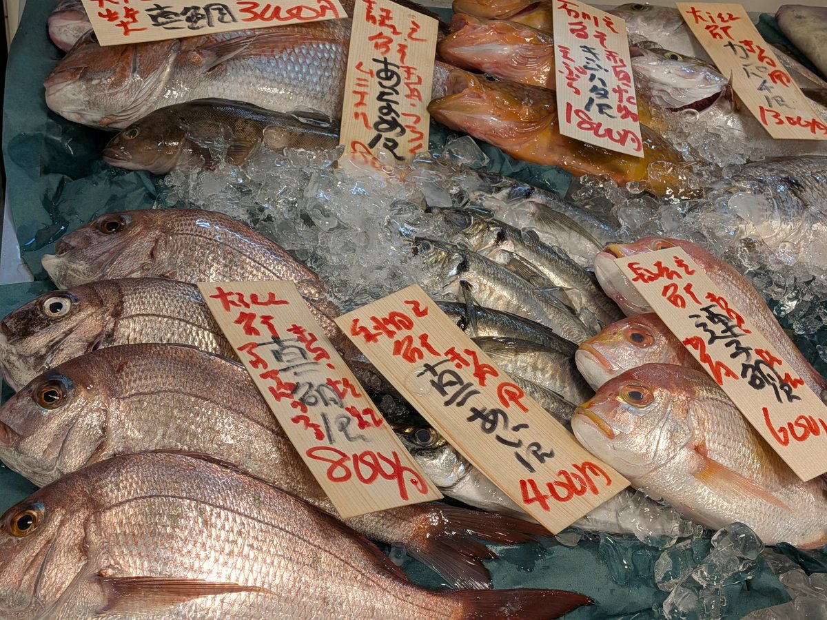 uokeioarai's tweet image. おはようございます、魚結です✨
今日のおすすめは、大洗産特大真鯛(約40cm)一尾1500円‼️
お刺身、鯛しゃぶ、カルパッチョ等で大変美味しい鮮度抜群の地魚です🐟
(お電話でのご注文承っております。)
よろしくお願い致します🙇
#真鯛 #魚好きと繋がりたい #大洗 #夏休み突入