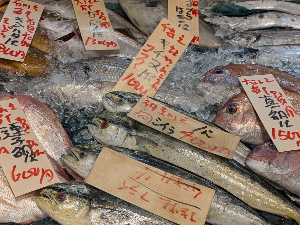 uokeioarai's tweet image. おはようございます、魚結です✨
今日のおすすめは、大洗産特大真鯛(約40cm)一尾1500円‼️
お刺身、鯛しゃぶ、カルパッチョ等で大変美味しい鮮度抜群の地魚です🐟
(お電話でのご注文承っております。)
よろしくお願い致します🙇
#真鯛 #魚好きと繋がりたい #大洗 #夏休み突入