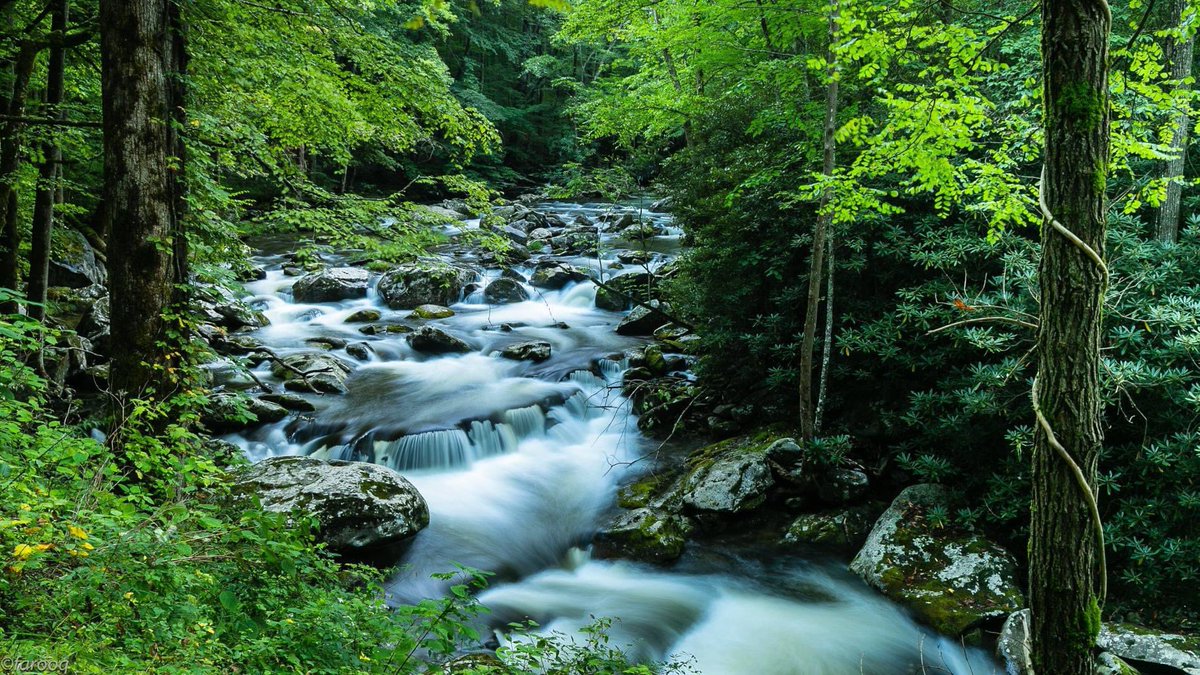 astro_eyes's tweet image. GSMNP - TN