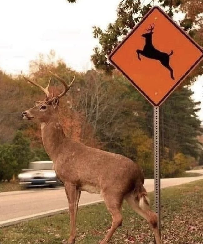 "You're so vain, You Probably Think This Sign Is About You."
