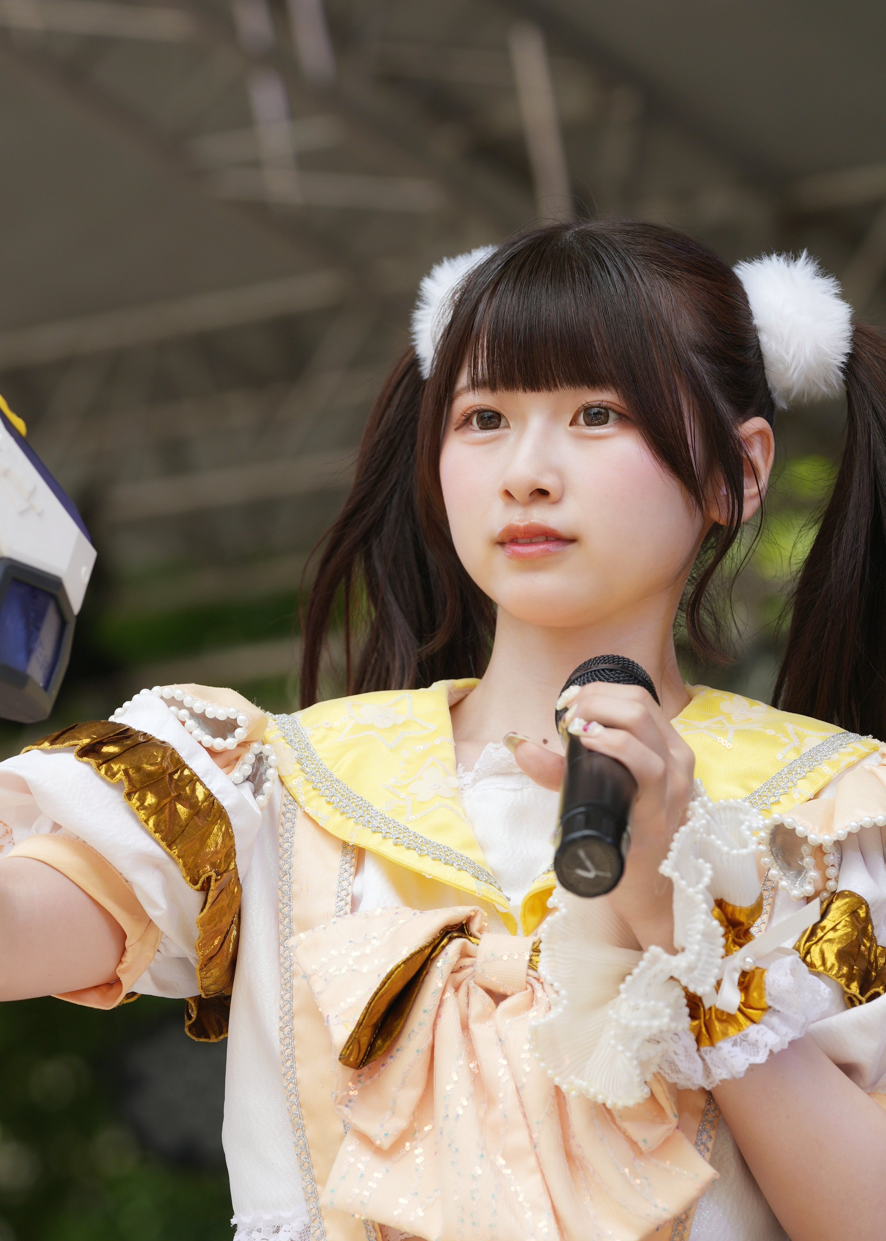【ゆゆ】ことりのおおきなあそびば ゆゆ様専用】ことりのおおきなあそびば