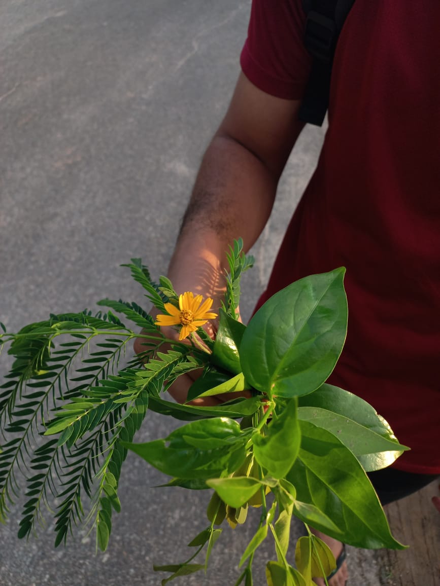 Yullie 土 tweet media