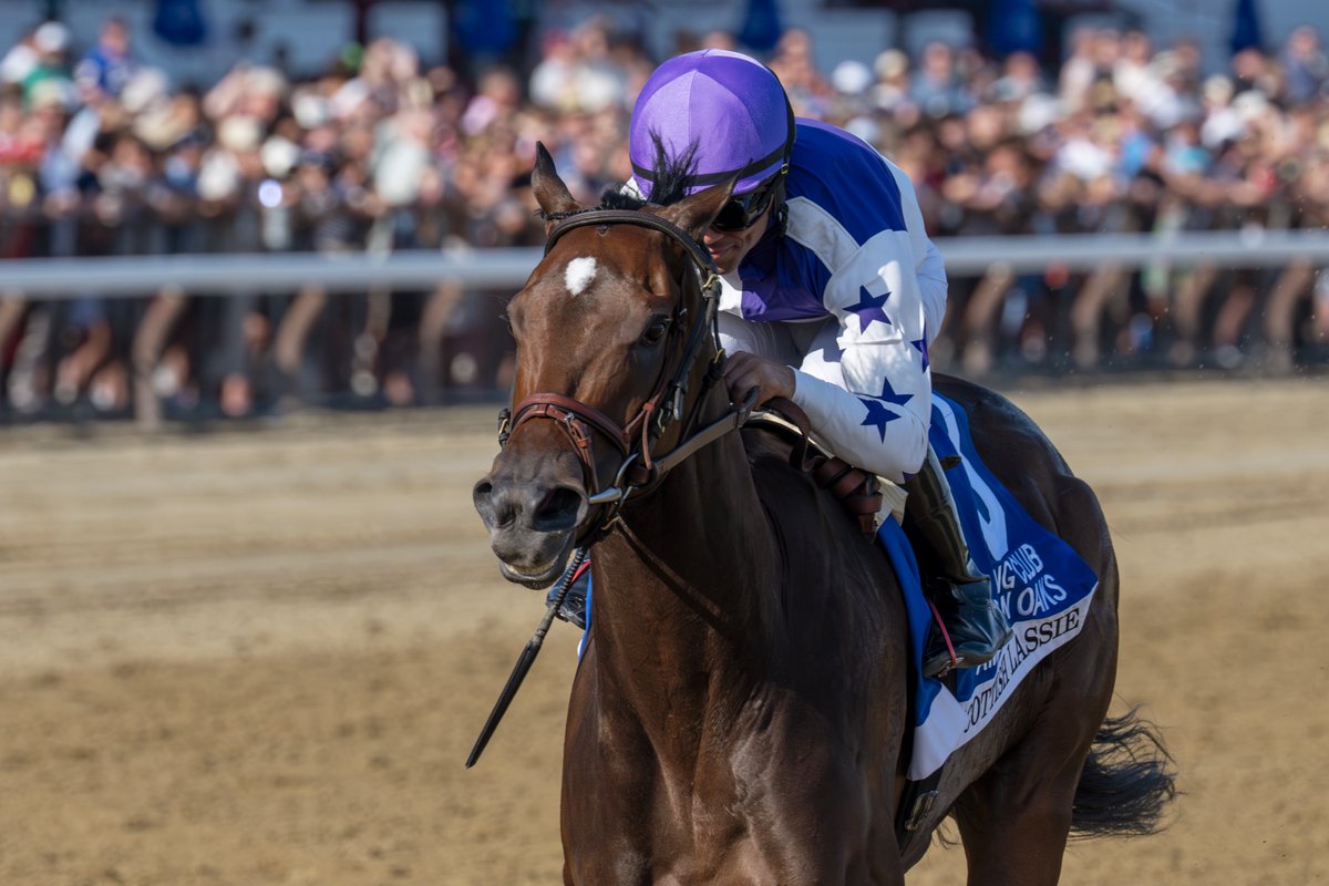 EricaPhotog's tweet image. Scottish Lassie, trained by Jorge Abreu and ridden by @JRosarioJockey, wins the Grade I Coaching Club Oaks Stakes #SaratogaRaceCourse #Saratoga