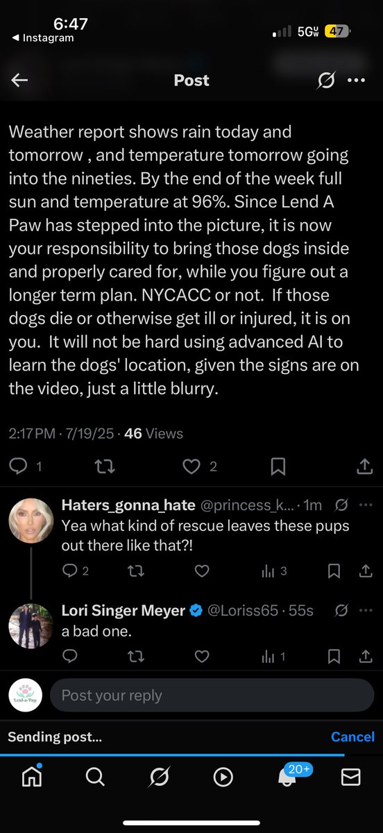 It’s a shame that the video posted received so many shares , reposts etc but not 1 person has stepped up to foster. Everyone wants to see something done but doesn’t offer a solution. We are a foster based rescue and clearly stated we are looking for a foster.