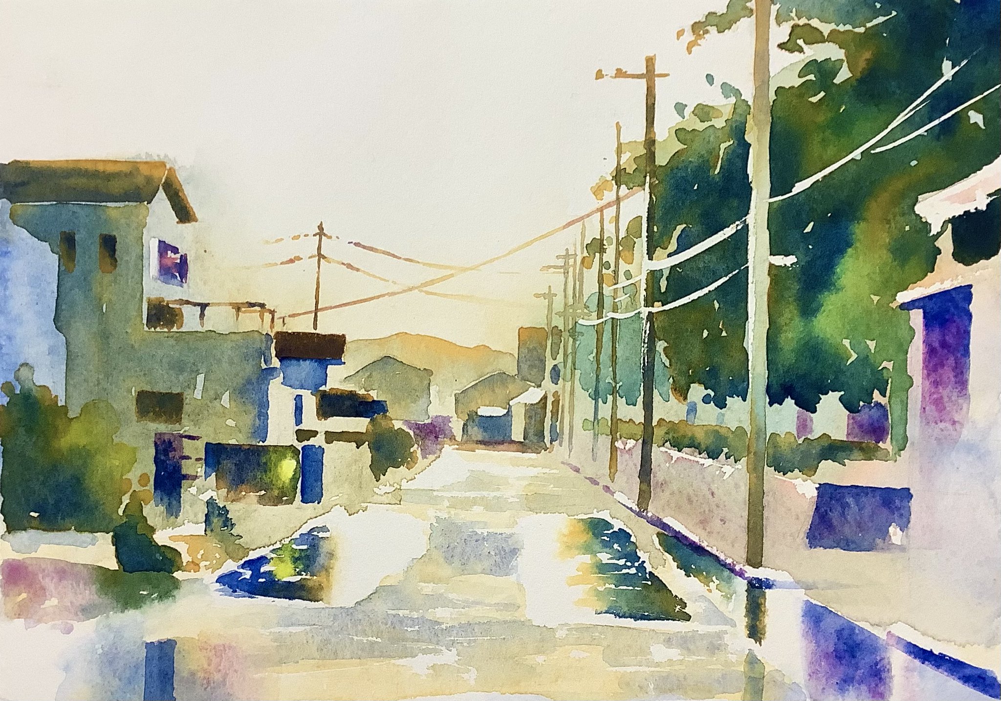 【希少】 水彩画 MC20-24V-