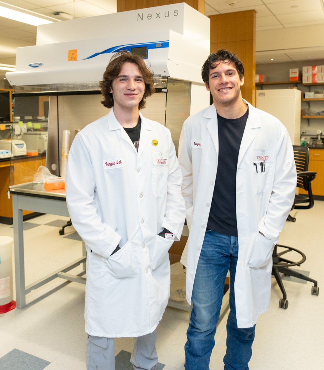 Trinity_U's tweet image. Luka Pravica ’26 and Hector Gonzalez ’26 are turning curiosity into innovation—one yeast cell at a time. This summer, this pair of biochemistry majors is working in biology professor Brian Teague’s lab to genetically engineer yeast that can convert lactose into ethanol.