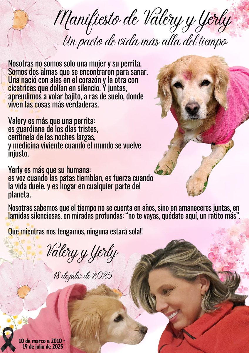 Mi Valery
Mi amor de colores ha partido y mi corazón llora tu partida.
Anoche con tu mirada escribimos esto felices y hoy en un hermoso arco iris en mi ventana trasciendes al cielo que espera por ti para siempre!!
Entre tus ojos mi beso de amor por siempre!!
Te amé, te amo y te
