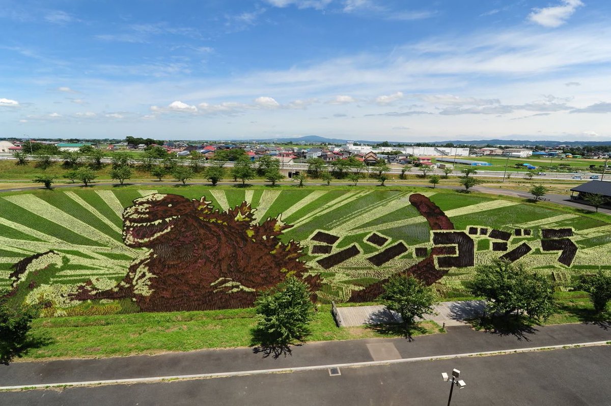 FunKaijuFacts's tweet image. In 2016, a rice paddy in the village of Inakadate, Aomori Prefecture, Japan, was used to create a Shin Godzilla artwork using nine varieties of rice seedlings.