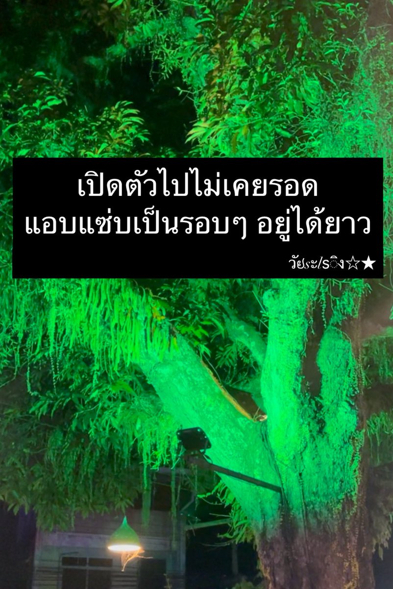 วัຢsะlsิง☆★ tweet media