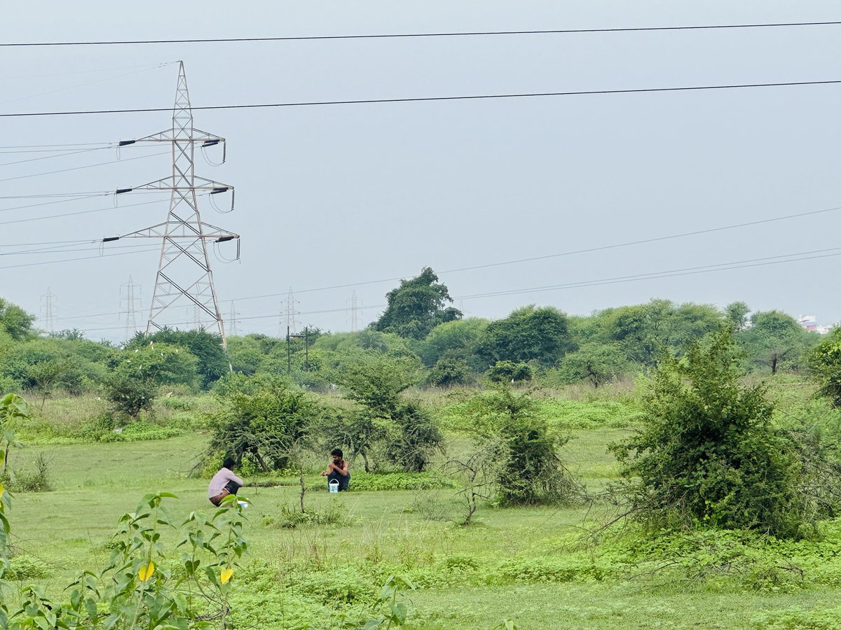 #SameerMeghe: Open defecation at Ganesh Nagar Dawalameti GRAM Panchayat area of BJP MLA Sameer Meghe. The claim of No “open Defecation” Government of Maharashtra is false.
