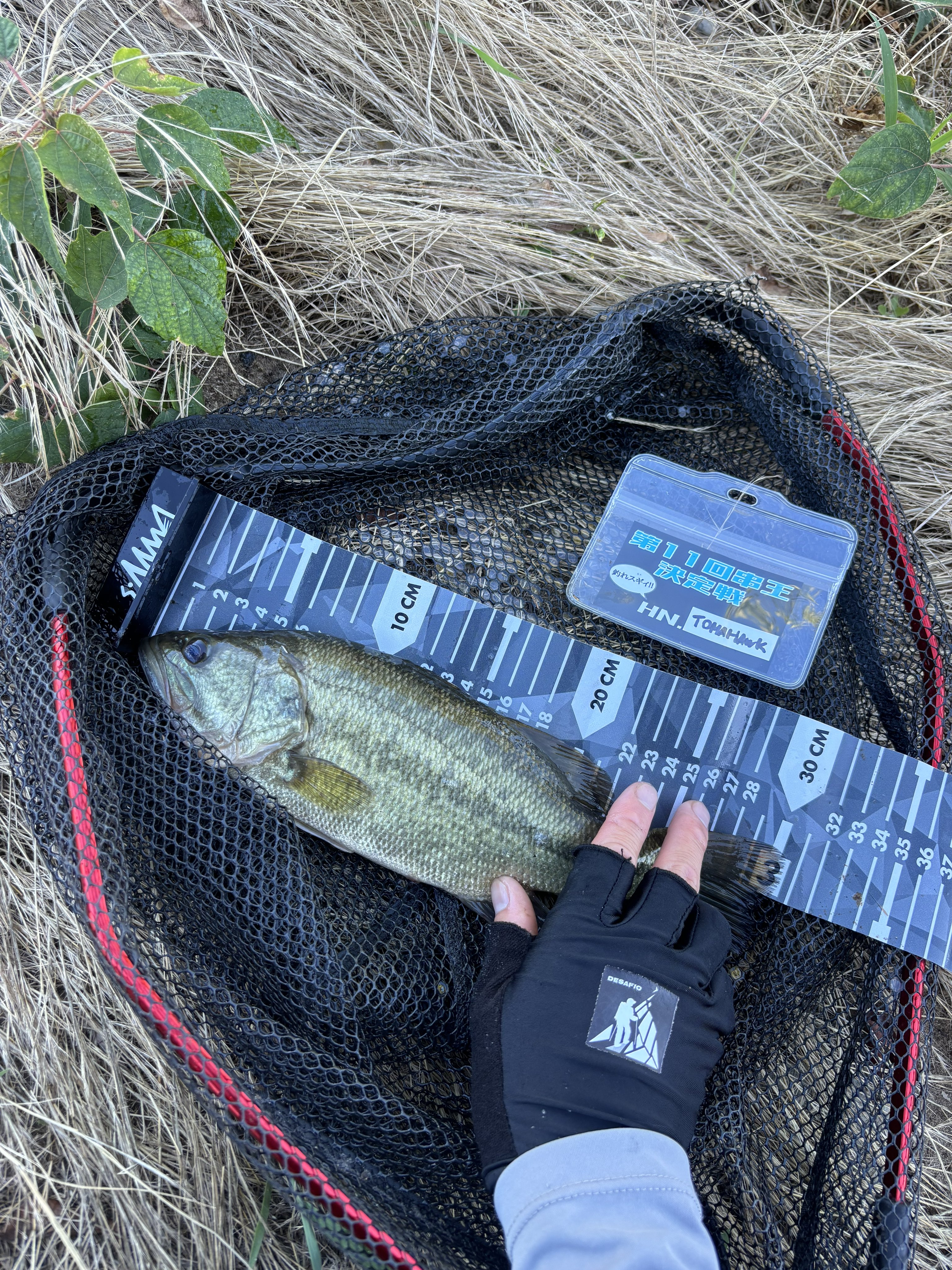 大阪北摂引渡し限定X-GLAVE FXNC-73MH MGS 大阪北摂引渡し限定X-GLAVE FXNC-73MH 入り込め MGS