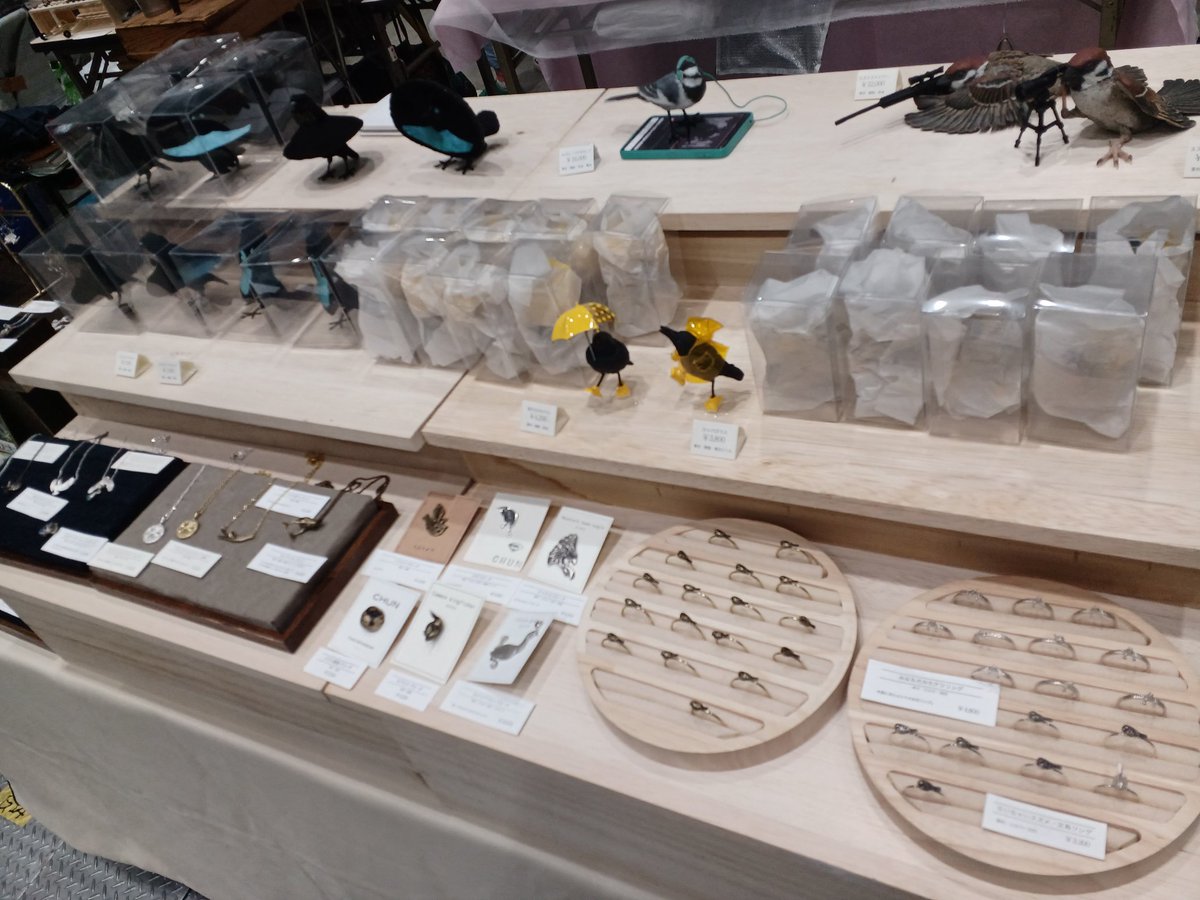 もうすぐ始まります！
よろしくお願いいたします🐥🐥
フリーペーパーはご自由にお持ち帰り下さい🐥🐥🐥
#博物ふぇす
#博物ふぇす鳥部