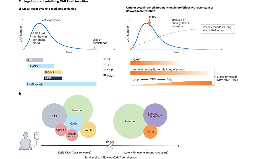 NaturePortfolio's tweet image. A Review in @NatureMedicine summarizes the current knowledge on mortality-defining toxicities of CAR T cell therapies beyond cytokine-release syndrome and immune effector cell-associated neurotoxicity syndrome. go.nature.com/3Gytkfv 🔒