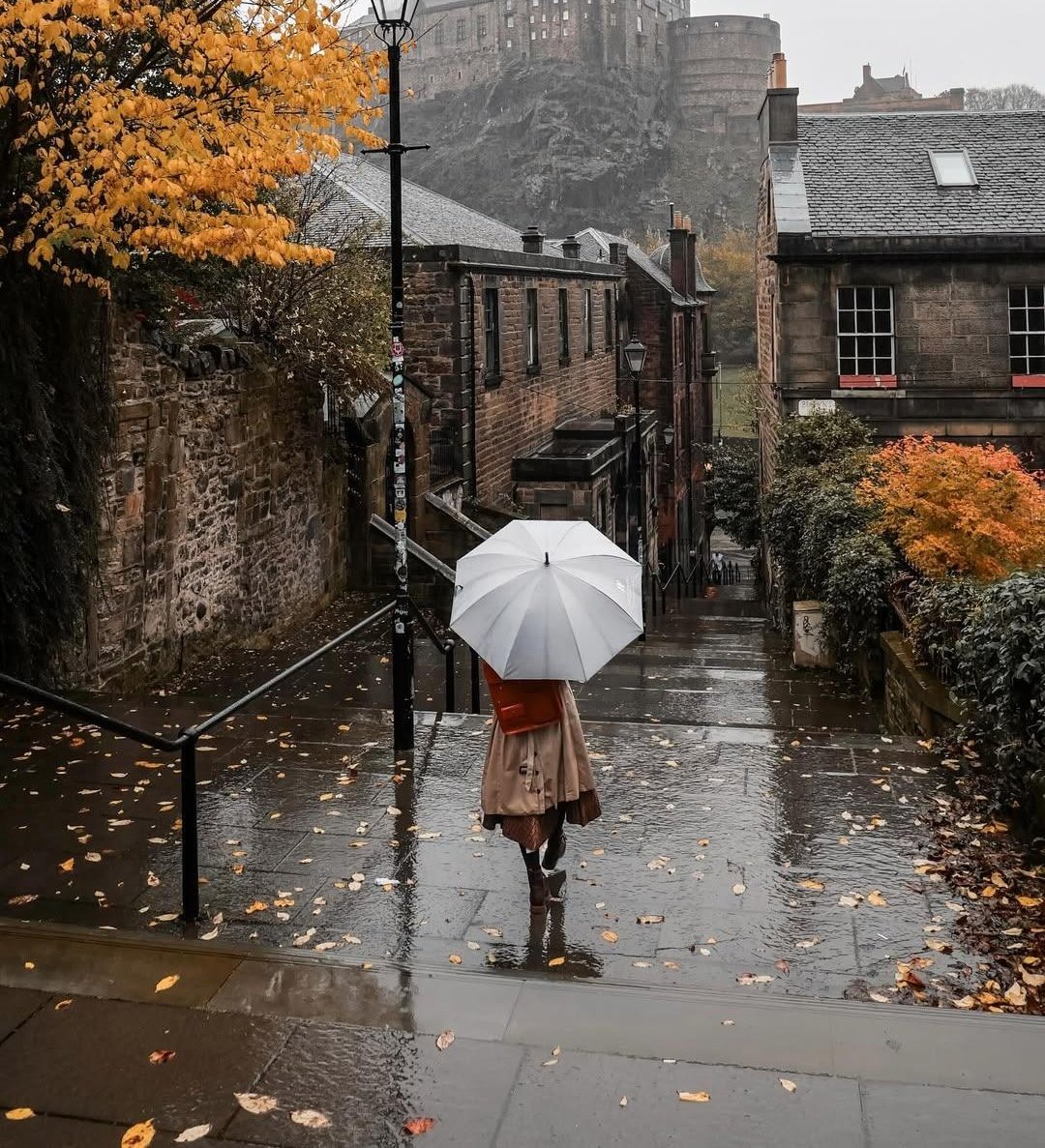 autumn girl tweet media