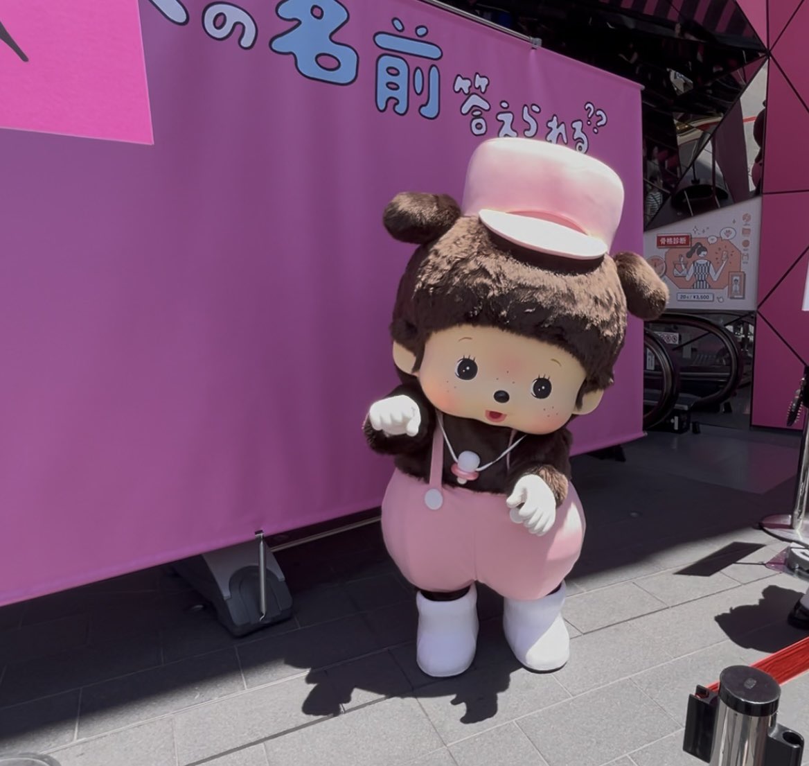 モンチさま専用 セキグチ モンチッチ プレミアムスタンダード M ブラウン 女の子