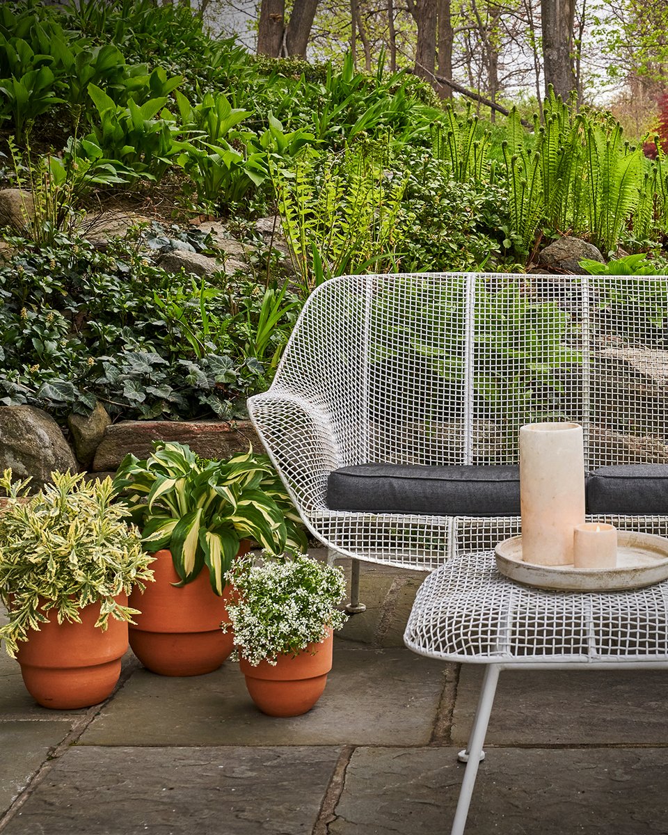 Terracotta that holds its own. Our Big Cuff Planters add weight and shape to outdoor spaces; simple in form but impossible to ignore.