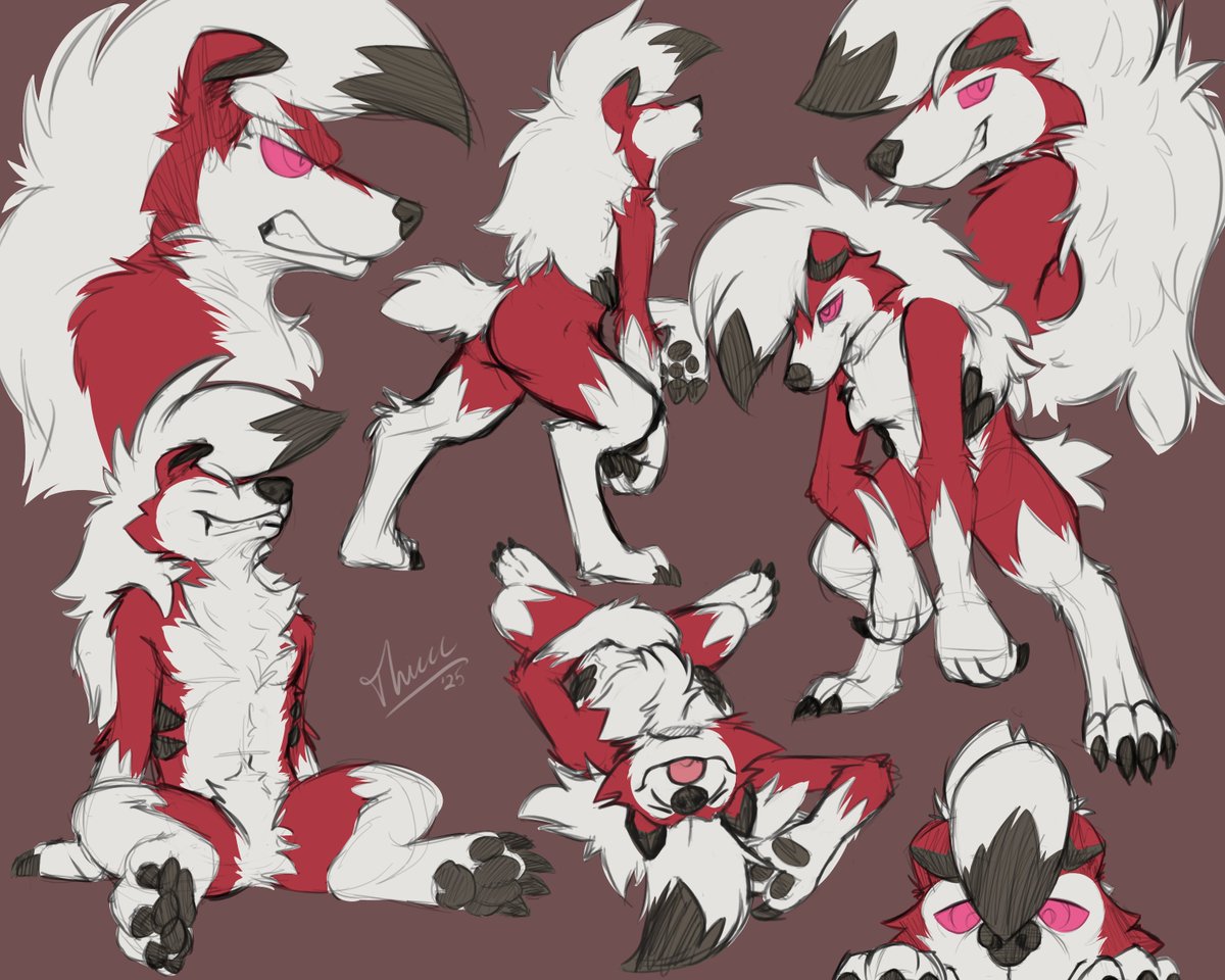 Thiccc0's tweet image. midnight pokemon doggo 🐺🌙