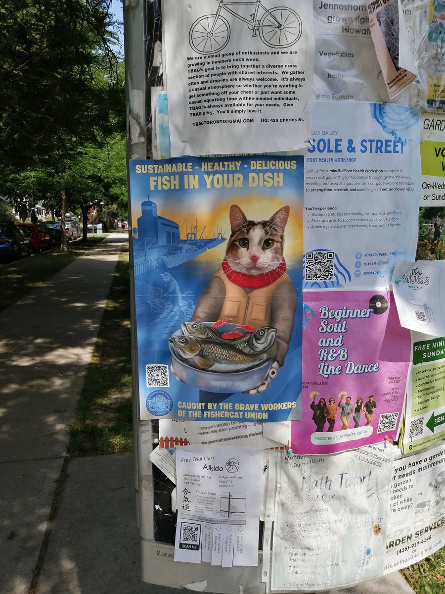 Fishercat Union poster in the park. The last one didn't last long.