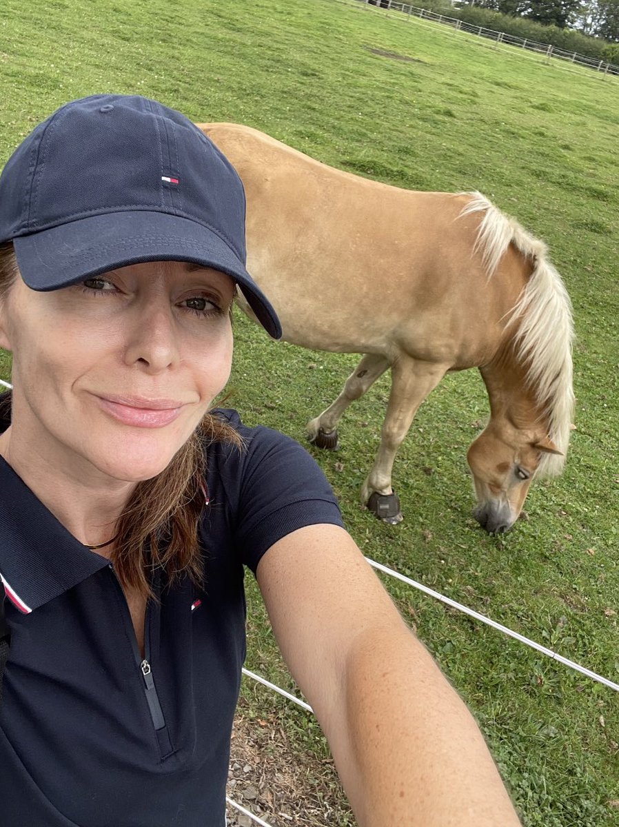 Ken nearly ended up in the back of the trailer today ❤️🐴 - #horsewelfare #rehoming