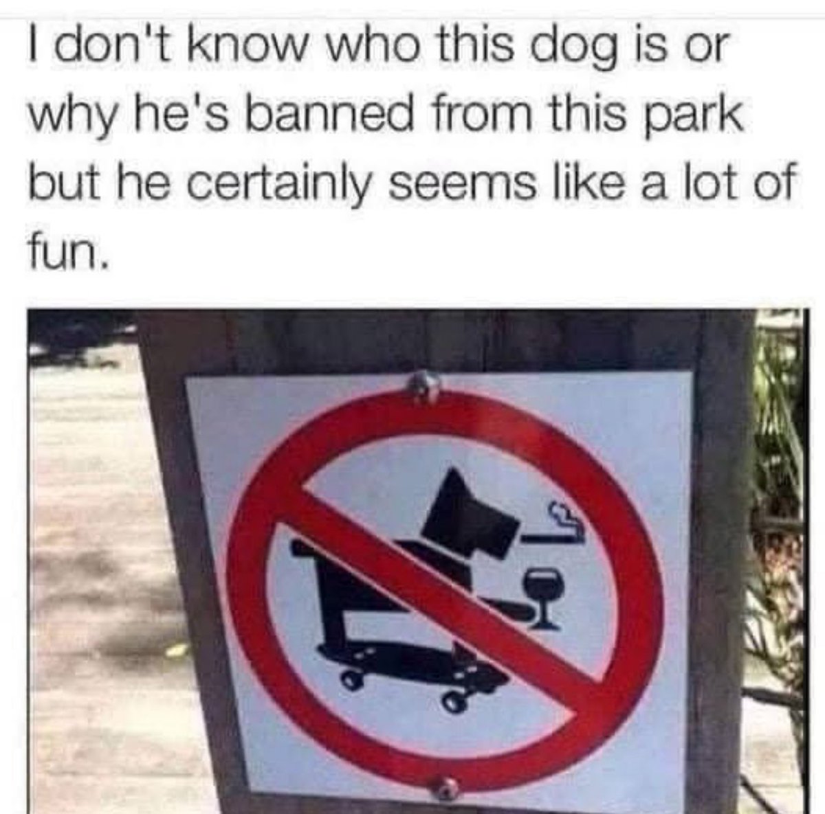 😂😂