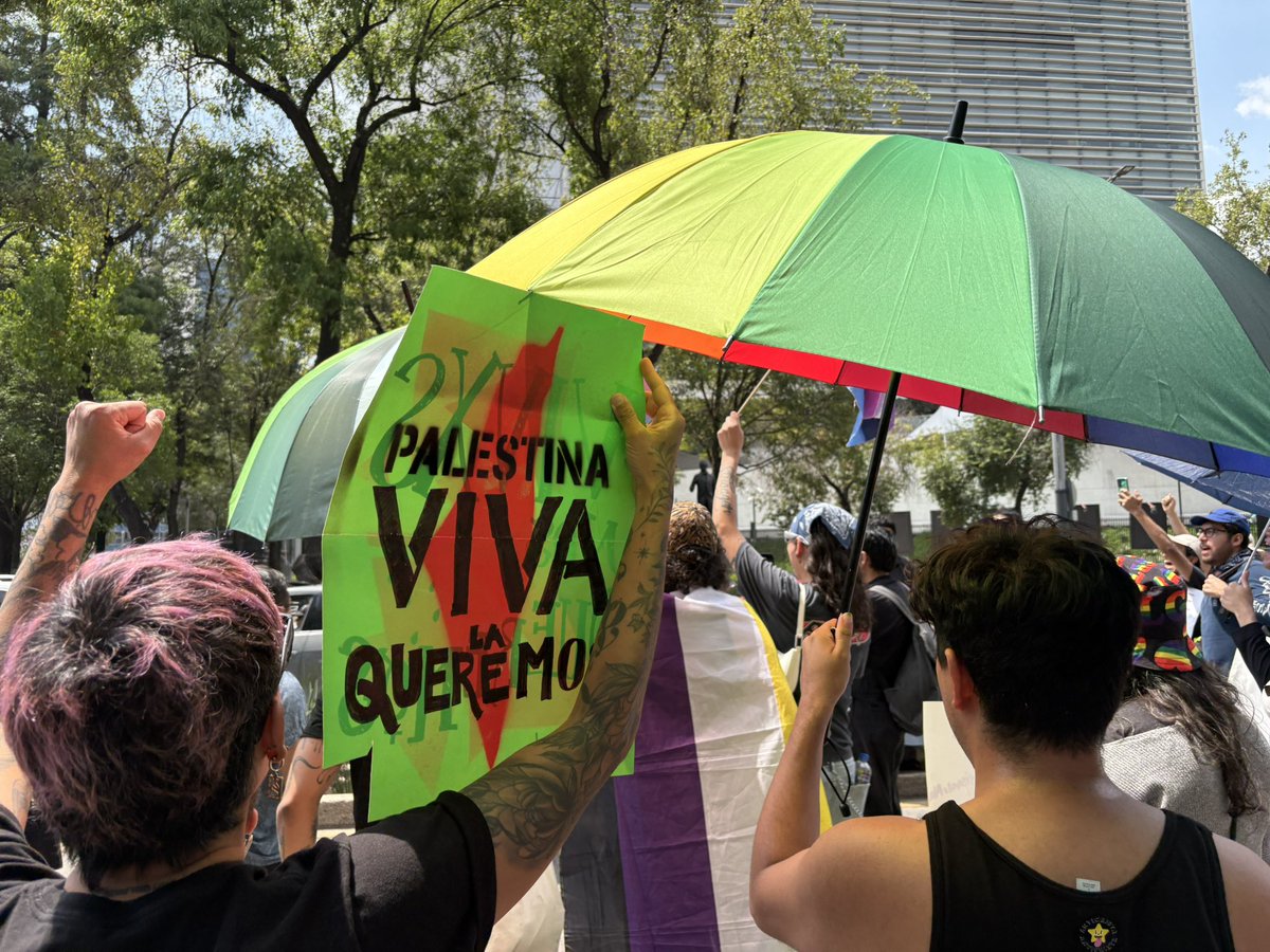 Francisco Mendiola S 🏳️🌈 (El / Elle) tweet media