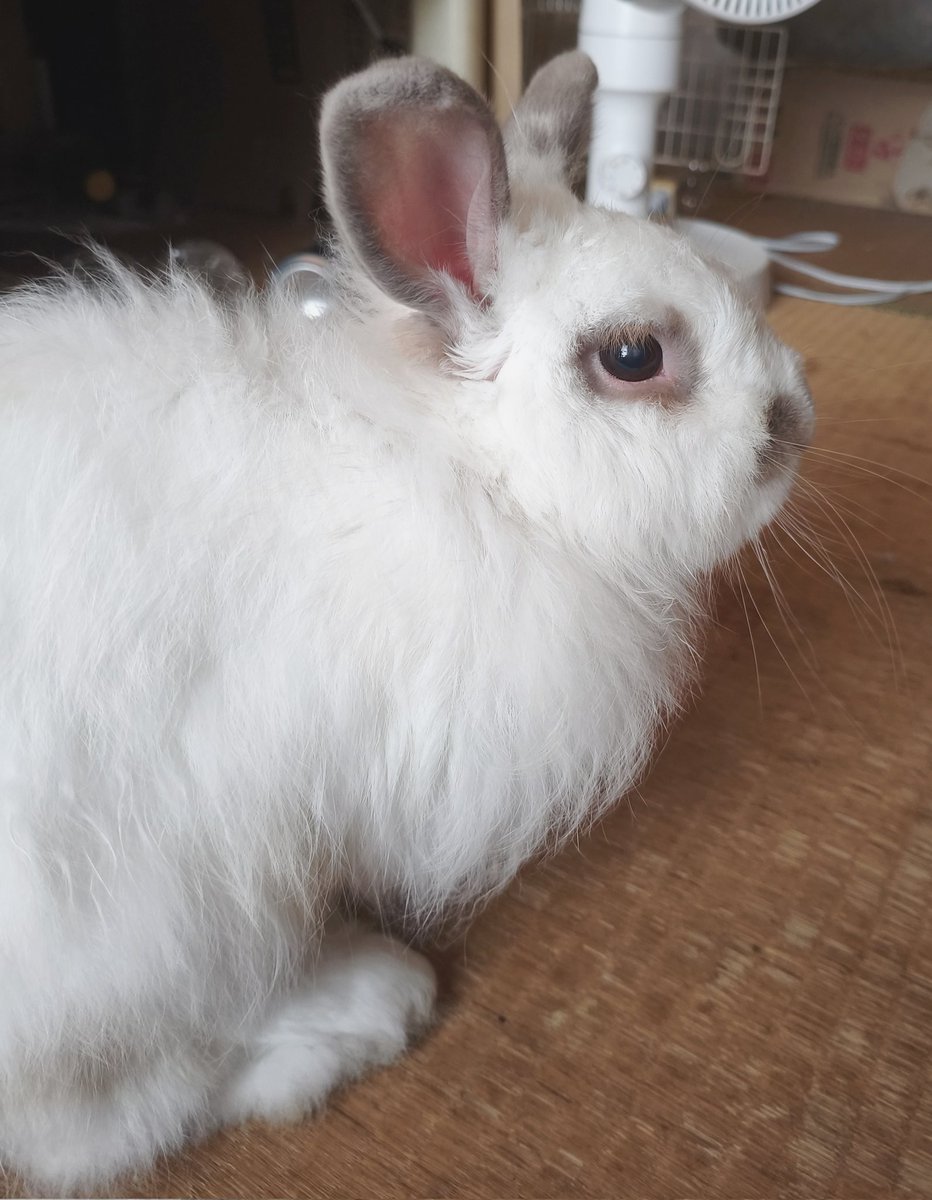 chobi20180604's tweet photo. にちようびはわかる
とうひようびってなに https://t.co/CrpP11oZfO