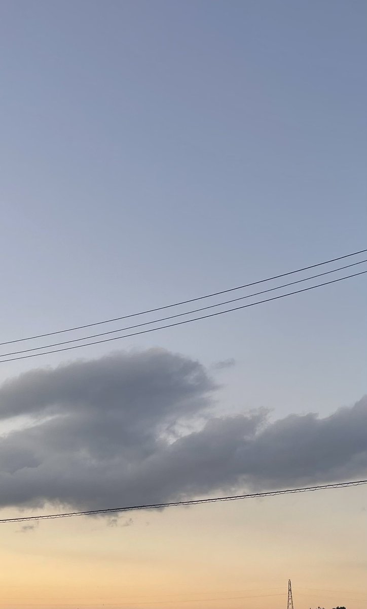 鳶 (@level_yuusha1) on Twitter photo 