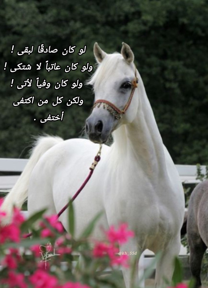 ولكن،
 كل من اكتفـــى ،، أختفــى،!؟