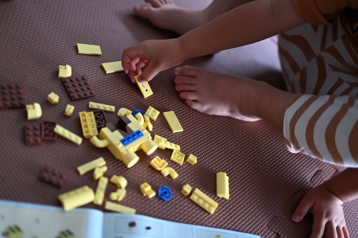 dpyukiqb's tweet image. 10349 Happy Plants (ハッピープランツ)
子供と一緒に作りました。
可愛いし、良きセットですね。
#lego #legobotanicals #happyplants #legodeals