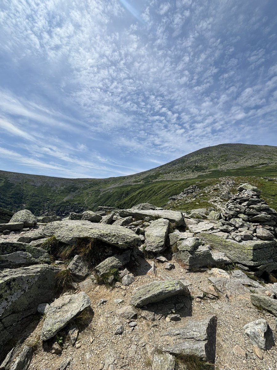 Pup Kibbles 🐾🐶 tweet media