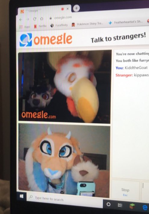 Kidd the Goat 🔜 ANTHROCON! tweet media