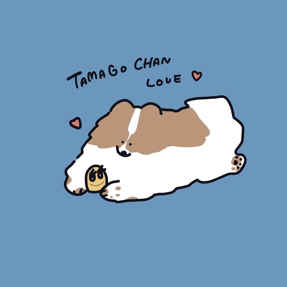 pomeranianmog's tweet image. おはようございます🥚
たまごちゃん、インテリアとしてもカワイイ