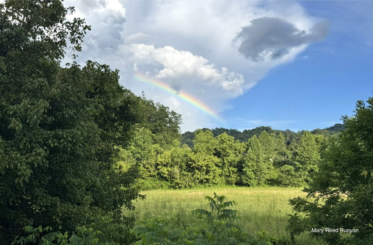 MaryReedRunyon1's tweet image. #Rainbow 🌈 @WYMT @brobwx @WSAZBrandon @SpencerWeather @cjwxguy56 @Kentuckyweather @jloganwxguy #kywx #sekywx #ekywx