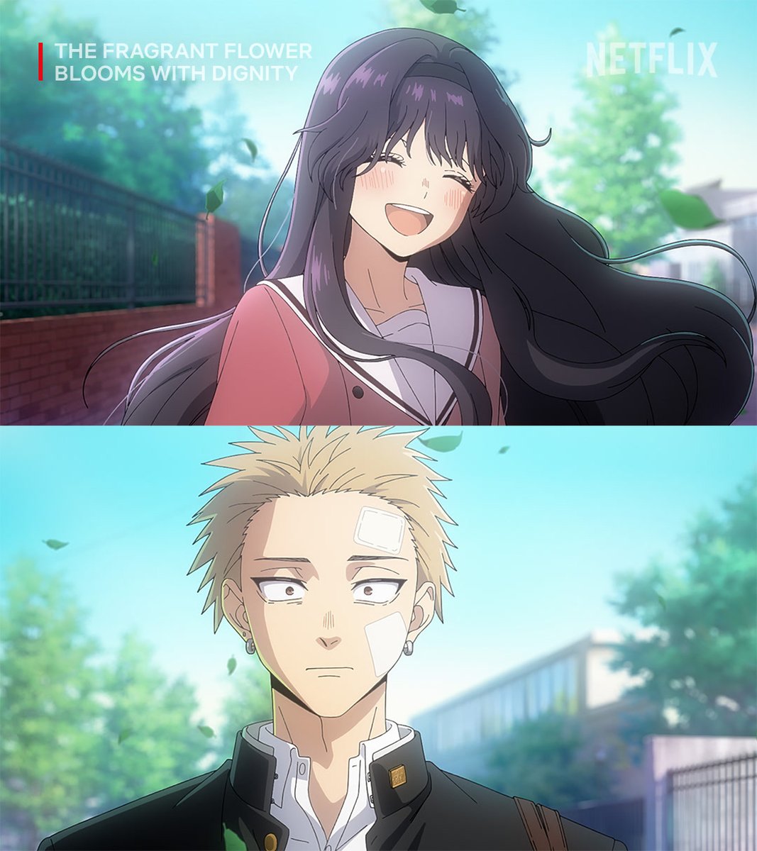 NetflixAnime's tweet image. Seeing Kaoruko must be like seeing the sun for Rintaro 🫢 How will their relationship bloom?
Find out in The Fragrant Flower Blooms With Dignity, now playing in select regions of Asia and arriving worldwide September 7.