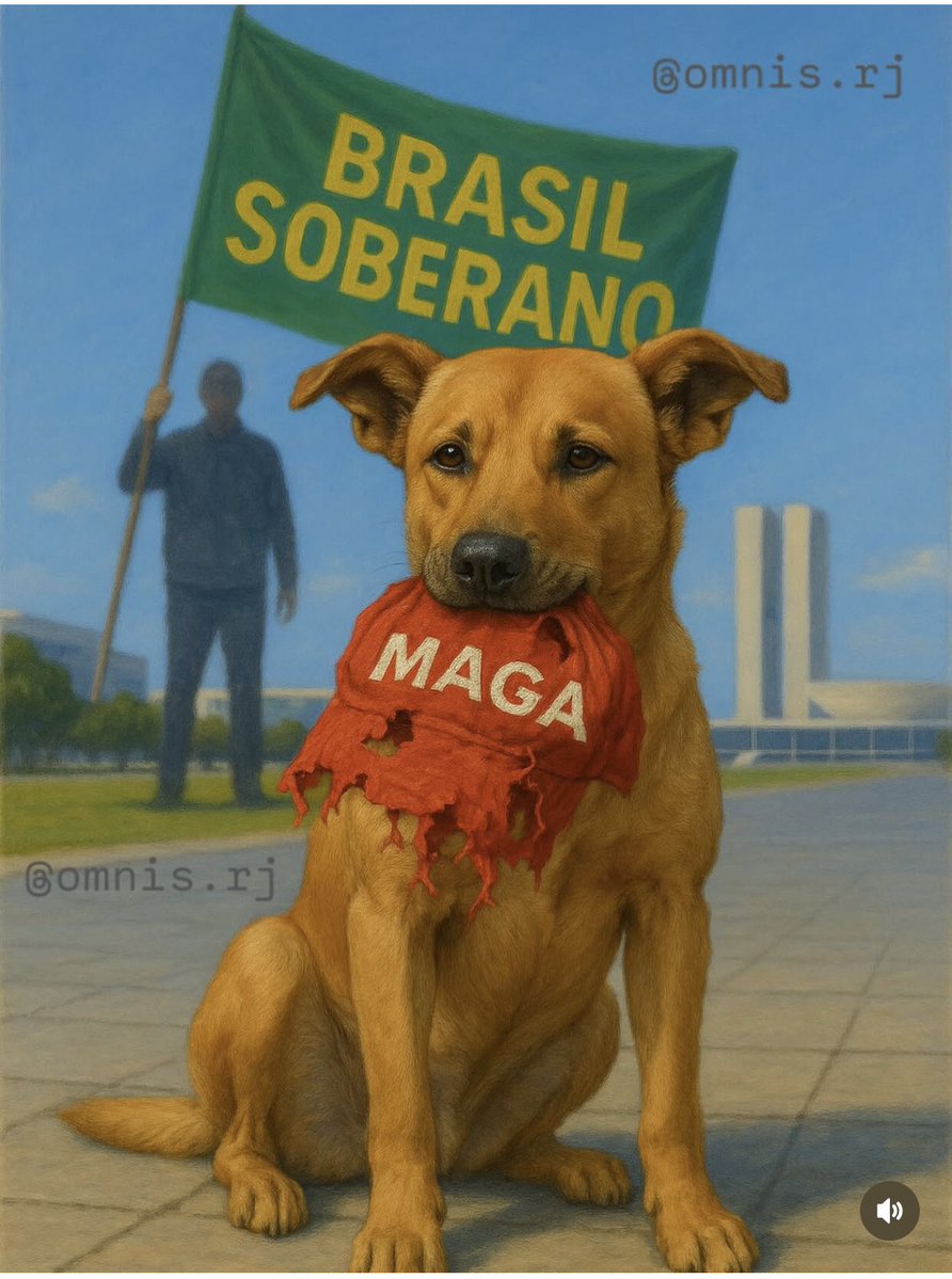 Camifashiontips's tweet image. Respondendo asnos bolsonaristas com esses 3 memes maravilhosos. Podem pegar e usar sem moderação.