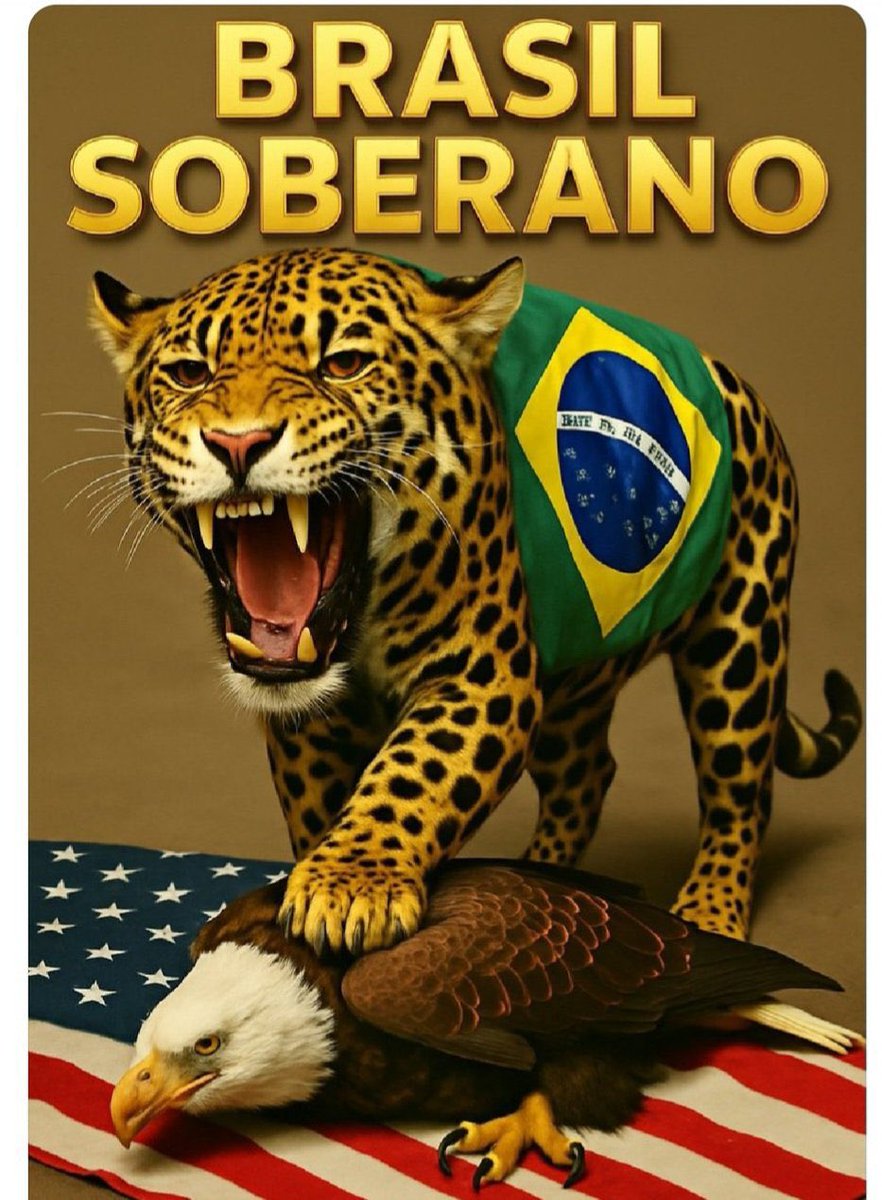 Camifashiontips's tweet image. Respondendo asnos bolsonaristas com esses 3 memes maravilhosos. Podem pegar e usar sem moderação.