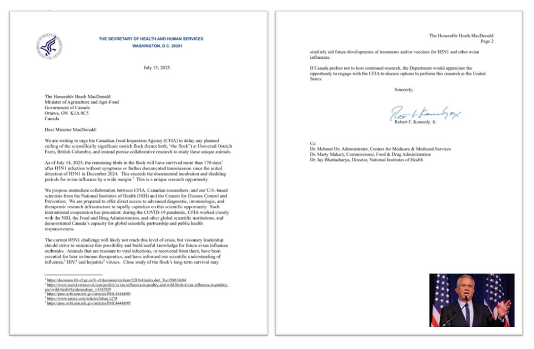Robert F. Kennedy Jr. letter to Honorable Heath MacDonald, Canada's Minister of Agriculture and Agri-Food, urges CFIA to delay culling and instead collaborate on research of the ostriches.
saveourostriches.com/news/rfkjr

Follow SaveOurOstriches.com NEWS page for more letters from