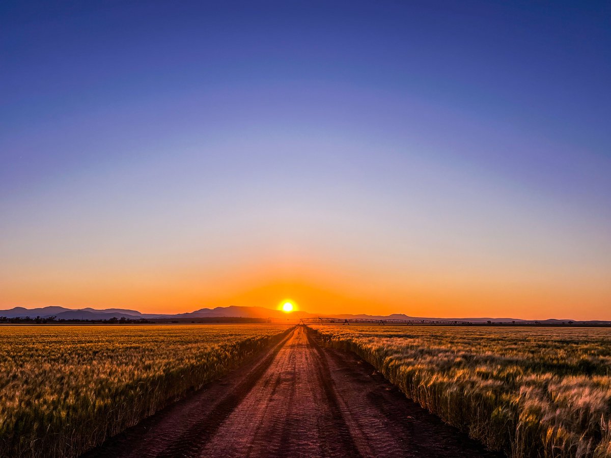 Australia takes the lead in global grain trade! 

Australia has assumed the Chair of the International Grains Council (IGC) for 2025–26, represented by Dr Amy Little, Agriculture Counsellor in London.

Amy says “Australia’s grains, oilseeds and pulses industry was worth an