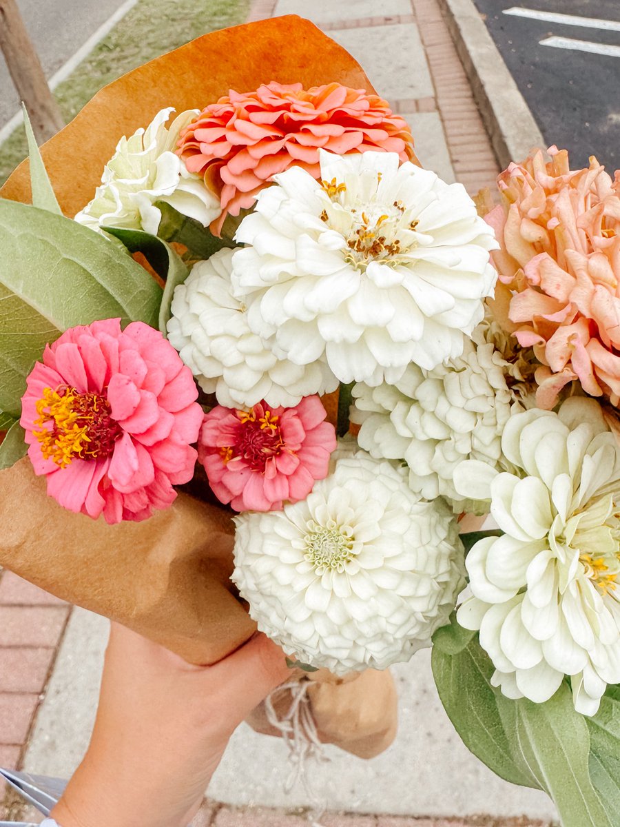 Prolife_Sam's tweet image. Homegrown bouquet for my sister’s birthday 🥰♥️💐
I GREW THESE!