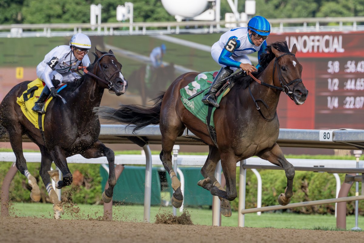 EricaPhotog's tweet image. Book’em Danno, trained by Derek Ryan and ridden by @Pacolopez1018 , wins the Grade II A.G. Vanderbilt Stakes #SaratogaRaceCourse #Saratoga