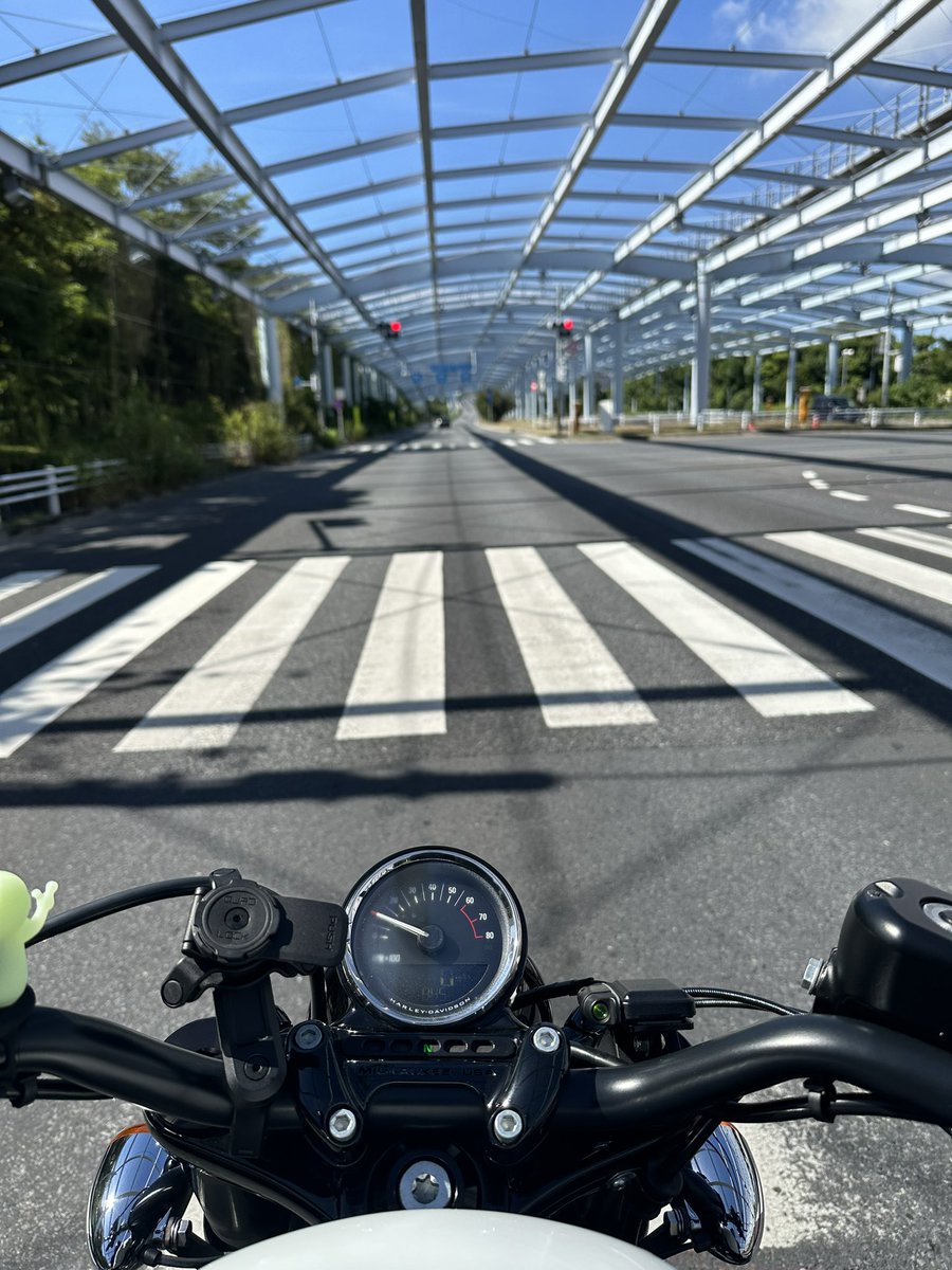 おはようございます🌞