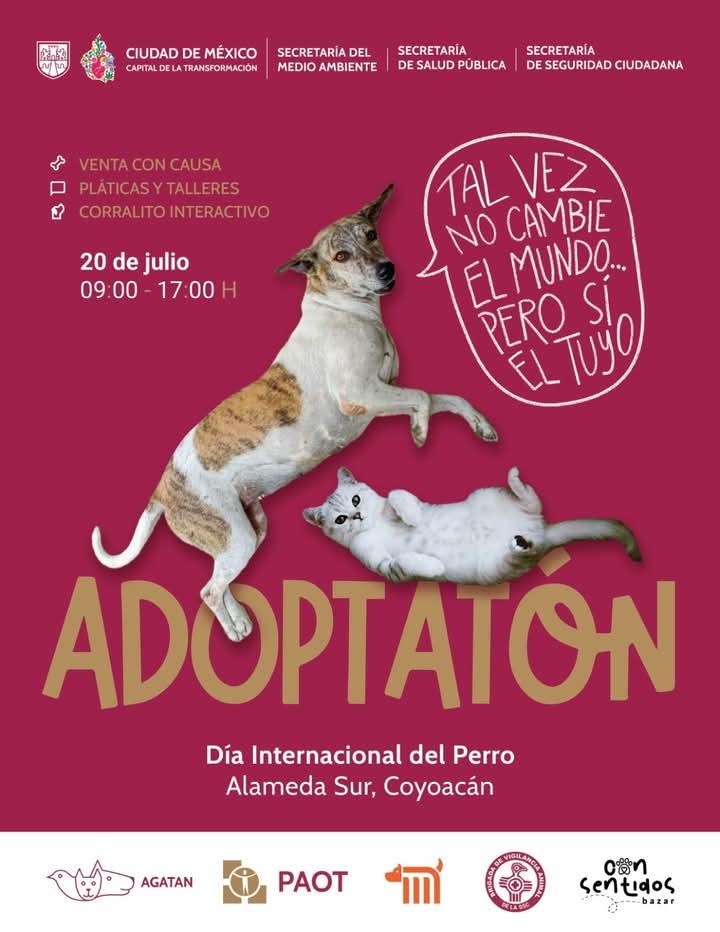 ¡Acompáñanos mañana domingo 20 de julio al 4to #Adoptatón 🐶🩷😺 y festeja con nosotros el Día Mundial de Perro!
Te esperamos en la Alameda Sur de 09:00 a 17:00 hrs, habrá muchas actividades y muchos perritos y gatos en busca de un 🏡. ¡No faltes!