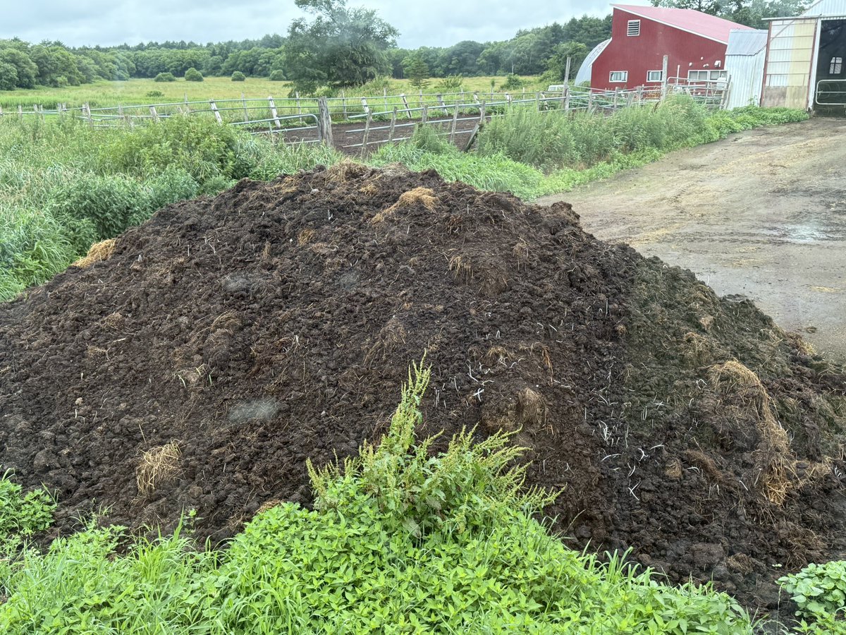 気づいたら生えてたwのと放線菌回ってるんですかね。　すげー❣️
