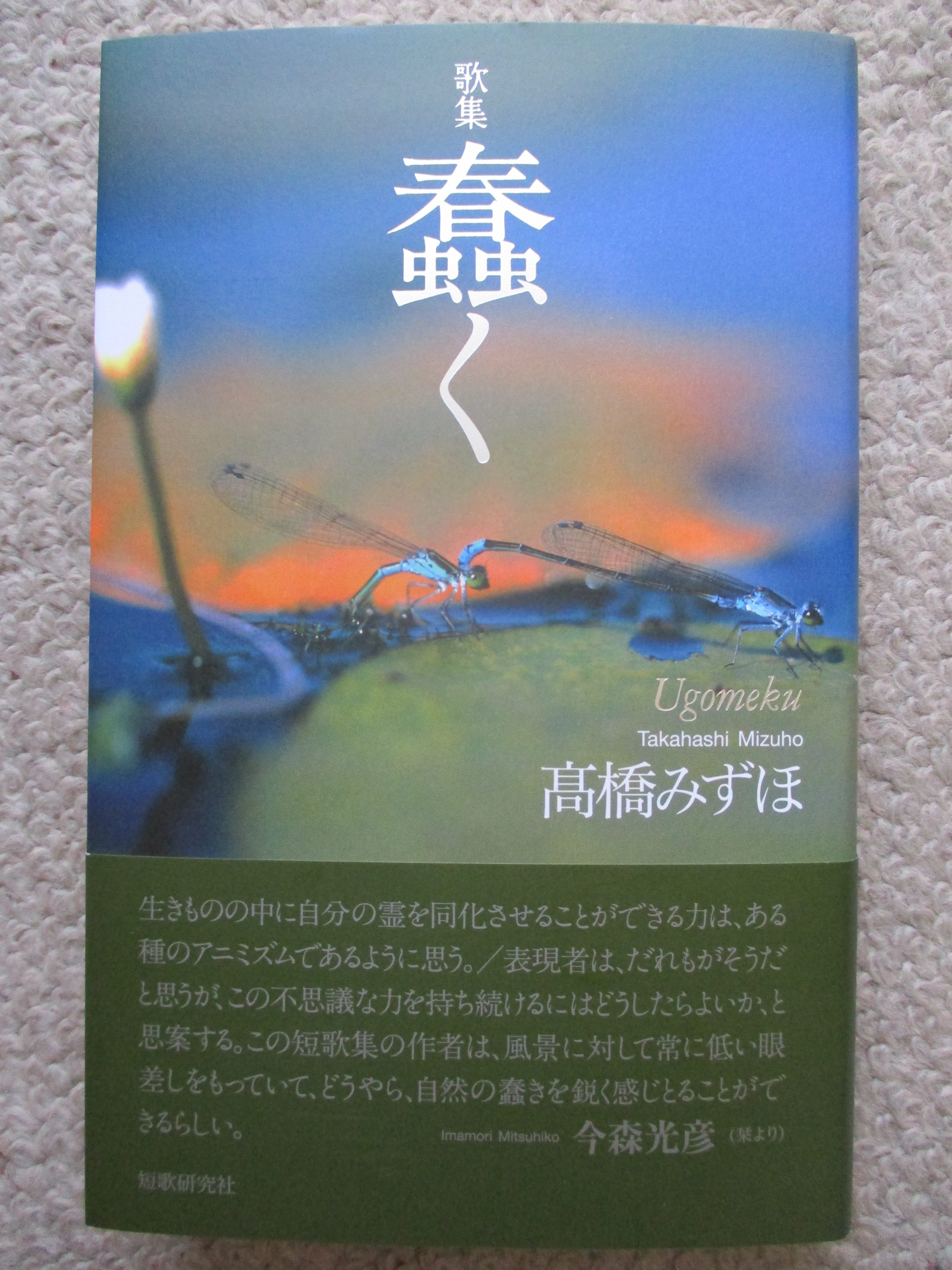 三齢幼虫　奥村晃作歌集 楽ギフ_包装】 三齢幼虫 奥村晃作歌集 文学・小説 - 文学・小説
